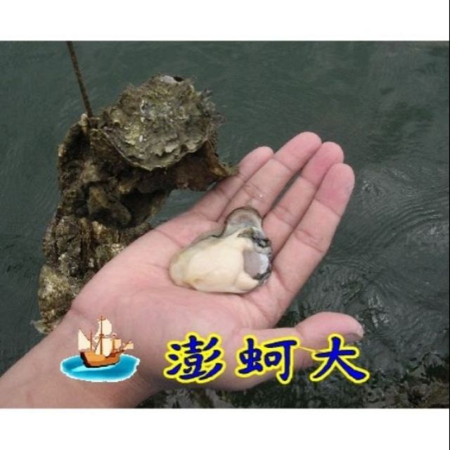 💕澎湖牡蠣💕澎湖產地直送牡蠣10斤裝…新鮮好吃又鮮甜呦🤗