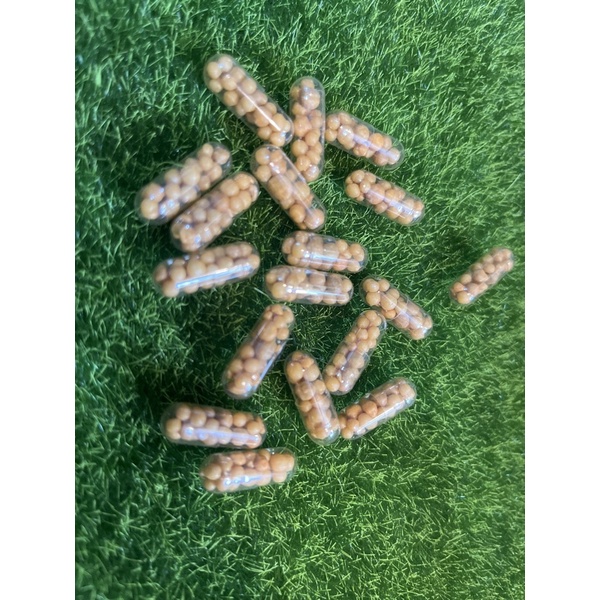 奧斯魔肥膠囊 水草追肥根肥 蝦皮購物