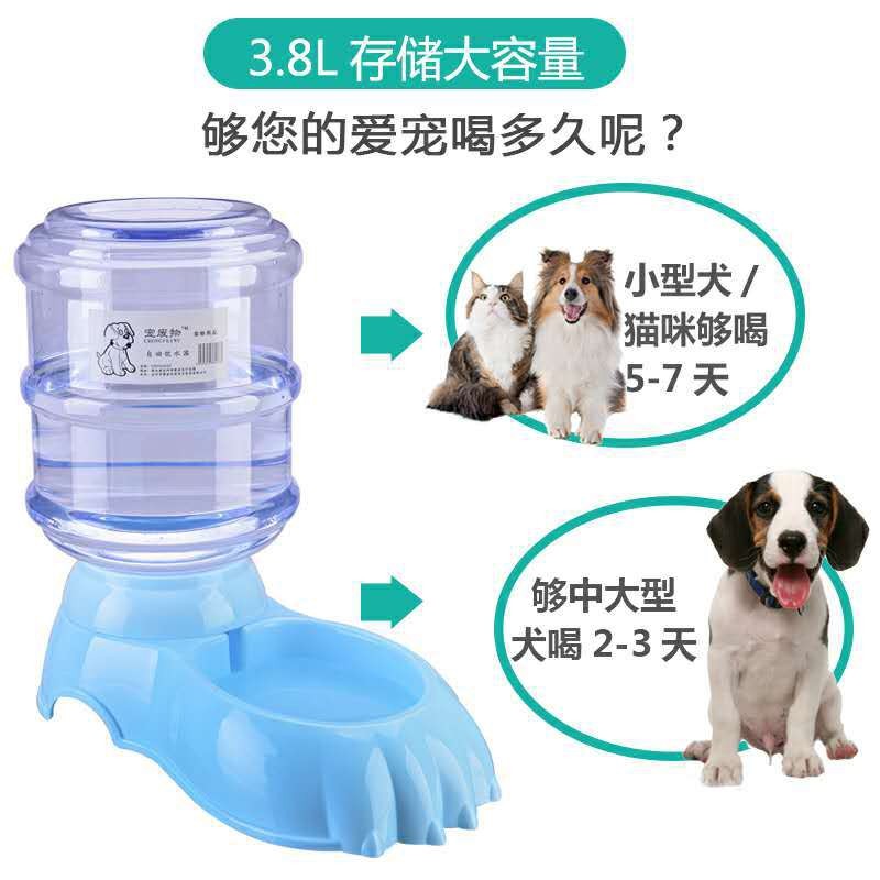 宠物喂食器猫狗 寵物喂食器自動飲水器大型犬金毛狗食盆貓咪喂水投食器寵物組合盆 蝦皮購物