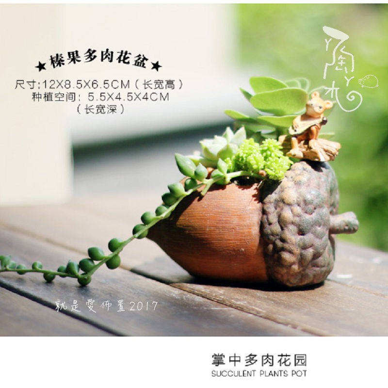 ㄚ陶ㄚ木 榛果多肉花盆 多肉植物組合療癒植物綠色陽台辦公室小物創意花盆配件園藝植物生日禮物交換仙人掌盆栽陶盆有機肥料