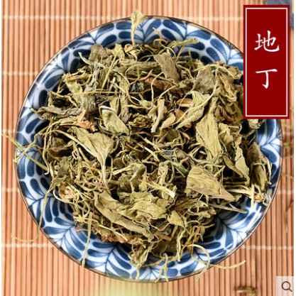 中藥材熱銷新品紫花地丁500克紫地丁草別名箭頭草犁頭草 蝦皮購物