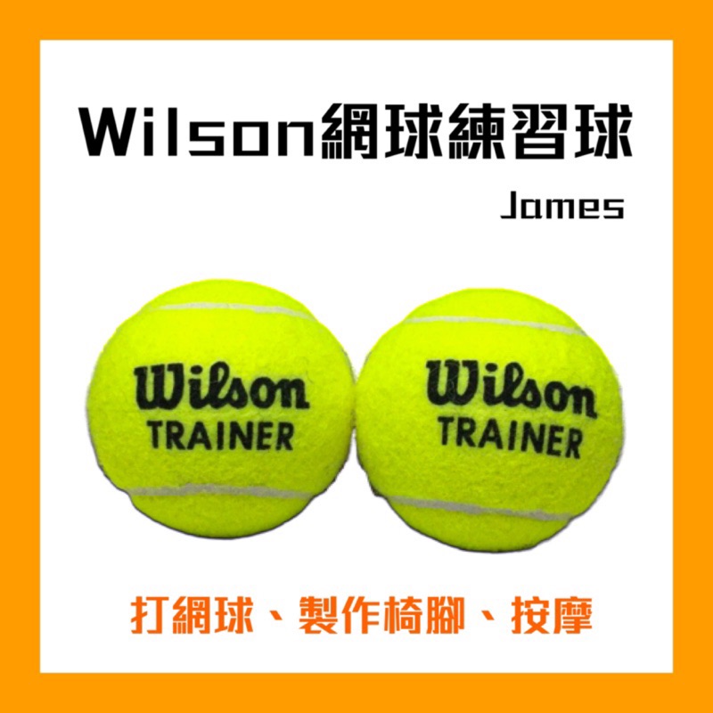 【詹姆士的店】現貨 開發票 Wilson 專業網球 網球練習球 練習用 球質較硬 練習球