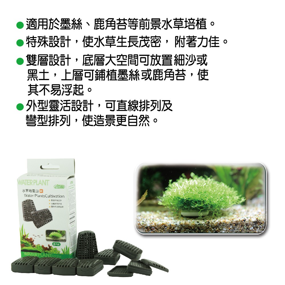 微笑的魚水族 台灣ista 伊士達 水草培養皿 M 1個 散售無包裝 蝦皮購物