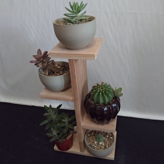MIT💗實木日本香杉Tree Flower Stand、手作花架.展示架、和風樹型花架、多層多肉擺飾架、公仔收藏娃娃飾品