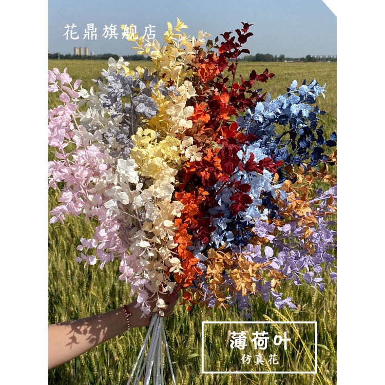 薄荷水草的價格推薦 21年11月 比價比個夠biggo