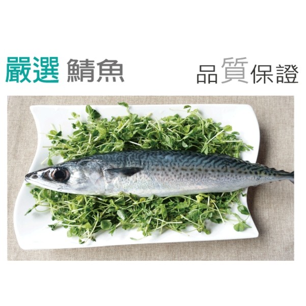 鍾魚原味鯖魚清肉（手工除刺）  蝦皮購物