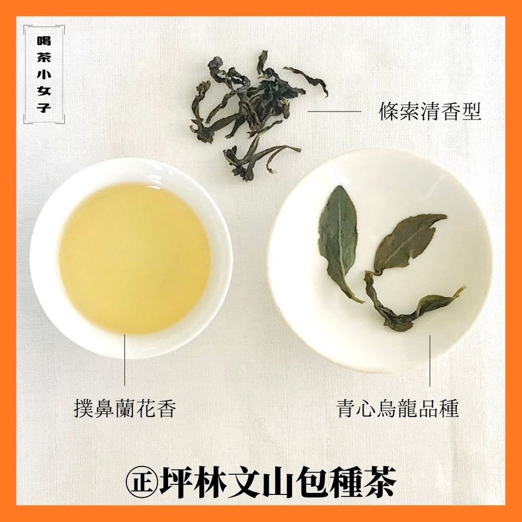 現貨快速出貨 文山包種茶茶包 冷泡茶 玉米纖維 無塑化劑 三角立體茶包 原葉台灣茶 無添加 無香精