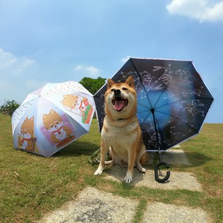 柴犬大學 柴老大Shibaniki 雙面反向傘 自動折疊傘晴雨傘 自動傘 摺疊雨傘 柴柴 柴犬雨傘 柴犬禮物 柴犬周邊