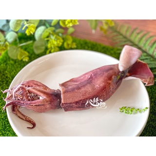《心鮮物 fresh》魷魚冰捲/熟凍/200G~250G/魷魚/冰捲/燒烤/冷盤/烤魷魚/冷凍海鮮/滿額免運/臺南外送