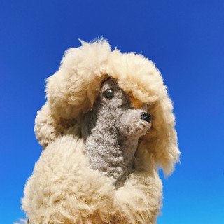 ◤澳洲進口手工純羊毛灰褐色貴賓狗 | 玩偶 擺飾 老件 稀有