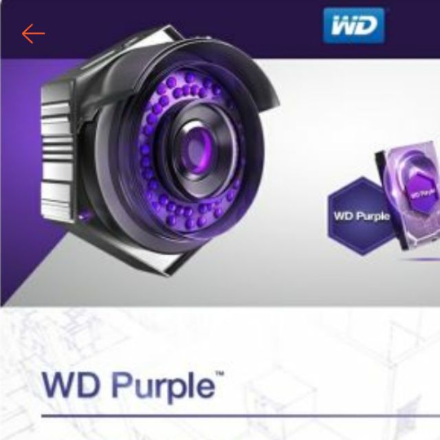 全新品保固三年公司貨wd 盒裝4t 紫標  監控硬碟 sata規格 監視器專用 wd