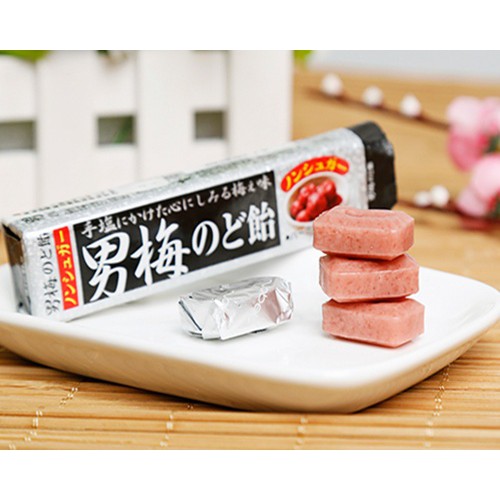 日本nobel男梅梅子糖 酸梅糖 條裝42g 10粒 袋裝80g 17顆 蝦皮購物