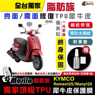 光陽 KYMCO Romeo Many 125 脂肪族 犀牛皮 儀表貼 螢幕貼 保護膜 防護膜 防紋 防刮 鍍客