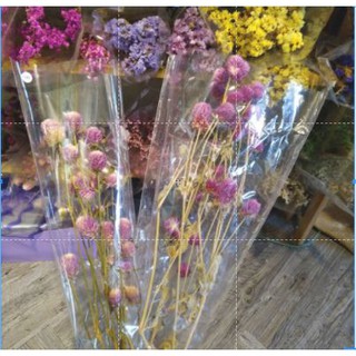 第2頁千日紅乾燥花的價格推薦 21年8月 比價撿便宜