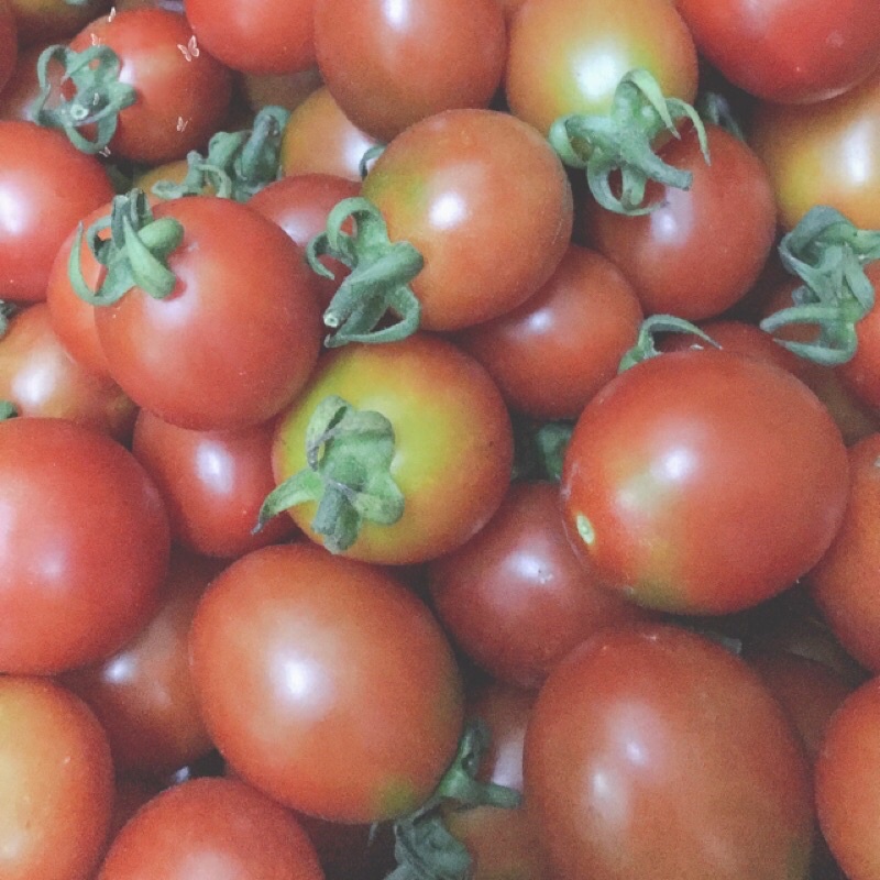 小番茄/一件699元/18-19斤(一件一運費）