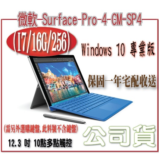 風亭山c 微軟surface Pro 4 Cm Sp4 I7 16g 256 需另外選購鍵盤 此料號不含鍵盤 蝦皮購物