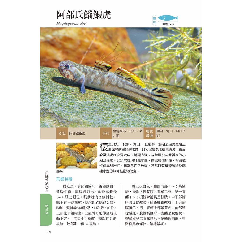 臺灣淡水及河口魚蝦圖鑑 蝦皮購物