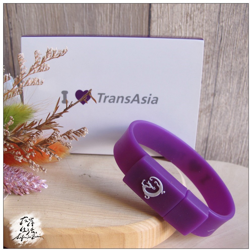 復興航空 TransAsia Airways USB 4G 手環 2012年旅展成交禮 絕版 航空迷收藏 *左岸生活*