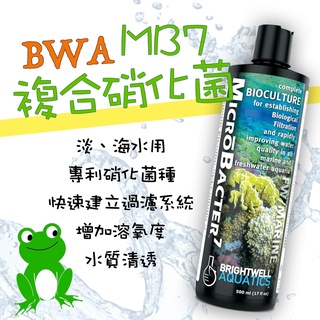 [安安水族] 美國 BWA 百威 MicroBacter MB7 複合硝化菌 淡水 海水 複合硝化菌 培菌 水族爬蟲百貨