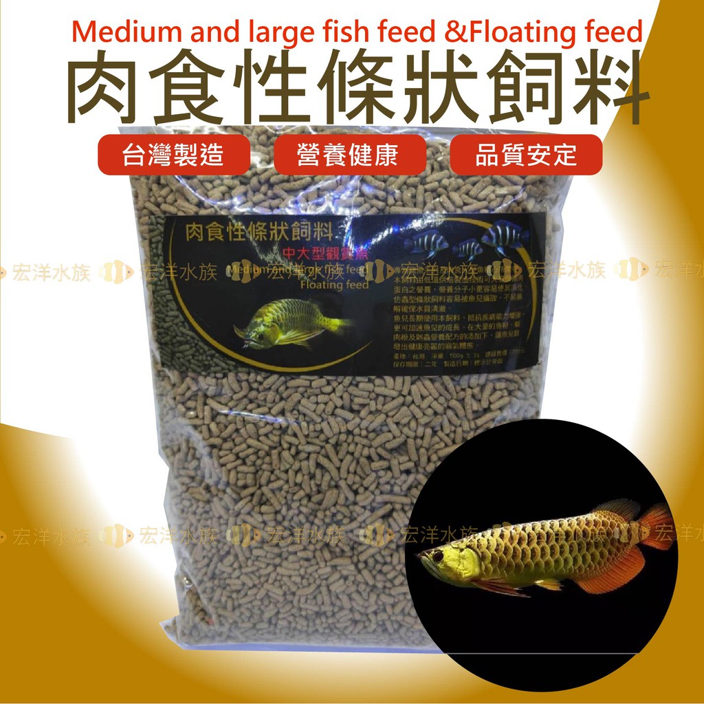 宏洋水族 肉食性條狀飼料 專為龍魚系 大型觀賞魚開發專用飼料 台灣製造 顯色揚色 金龍飼料 條狀飼料 上浮飼料 蝦皮購物