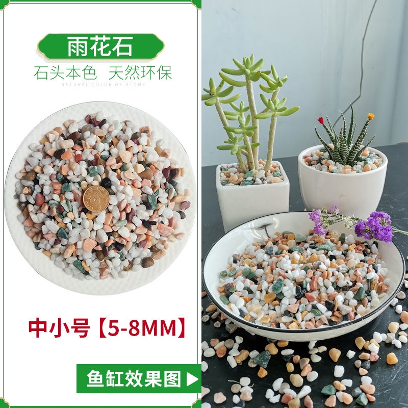 天然雨花石多肉鋪面盆栽水培植物鋪底魚缸底砂造景裝飾五彩石頭小碎石天然裸石 蝦皮購物