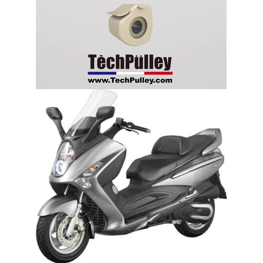 老虎摩托 TechPulley Flying Roller II 飛天珠 SYM 三陽 rv250/270專用普利珠