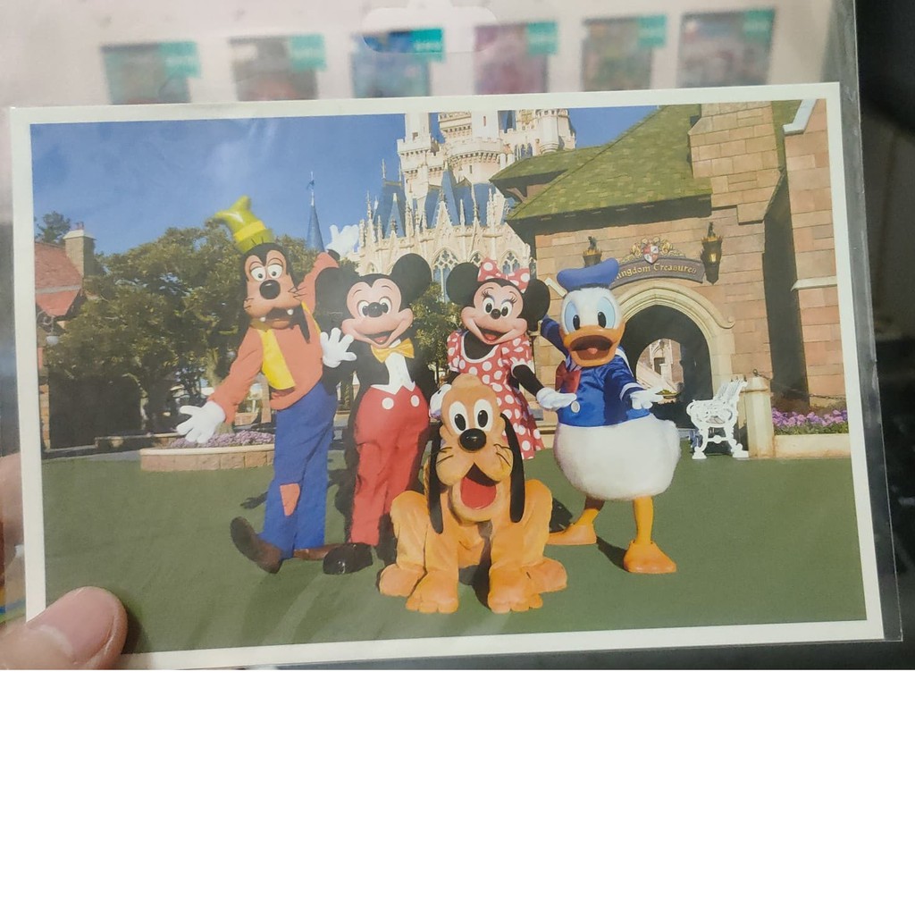 (現貨) 日本  Disney 迪士尼 限定  postcard 明信片 園區人偶