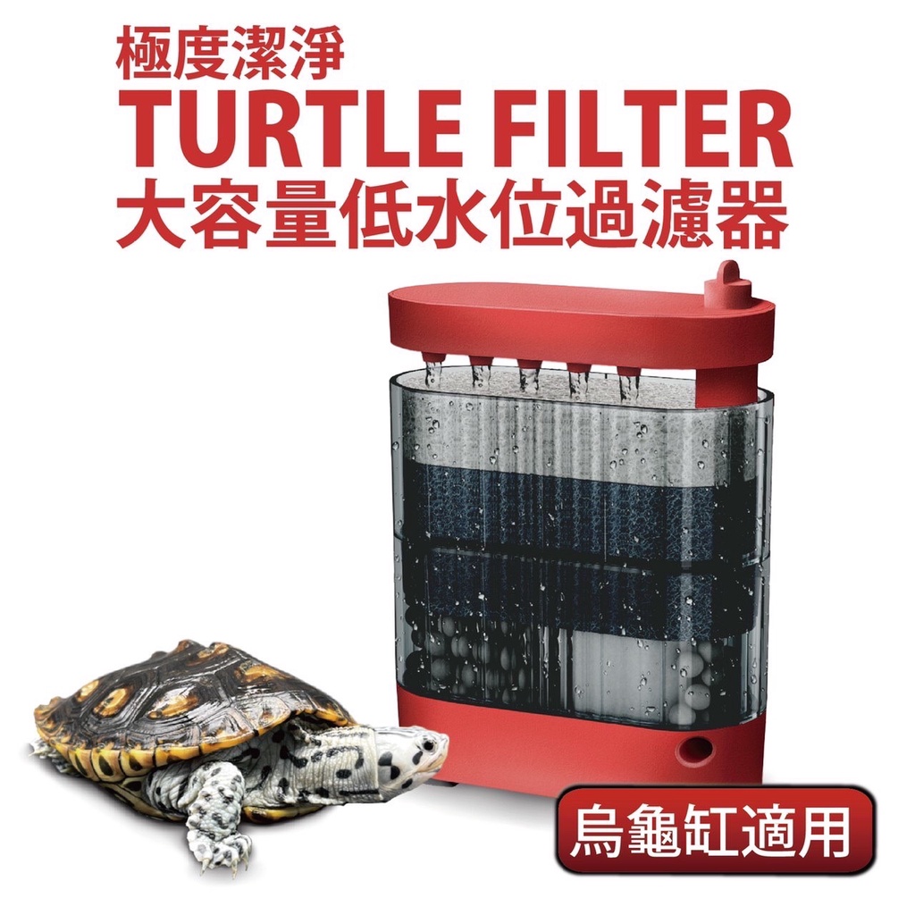 ⭐️大洲水族⭐️現貨🐢三合一低水位淨水循環器🐢烏龜低水位過濾器龜缸過濾器吸糞烏龜缸靜音吸便 烏龜過濾器 低水位過濾器