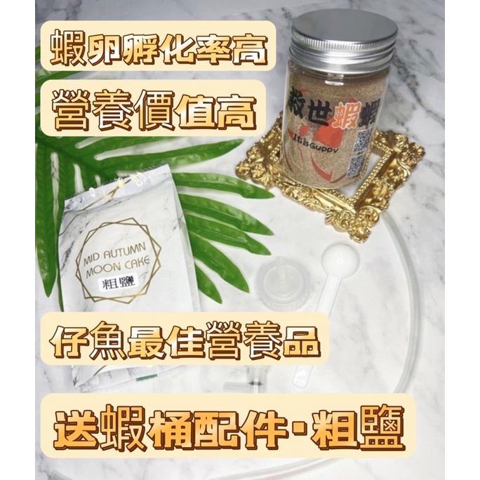 豐年蝦卵大紅卵無節高孵化率（送寶特瓶轉接頭，風管，調節閥）海猴寶寶