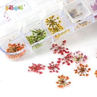 *木林森王國* 水晶滴膠diy 手鐲 吊墜 乾花手機殼 押花植物標本 手工製作輔料