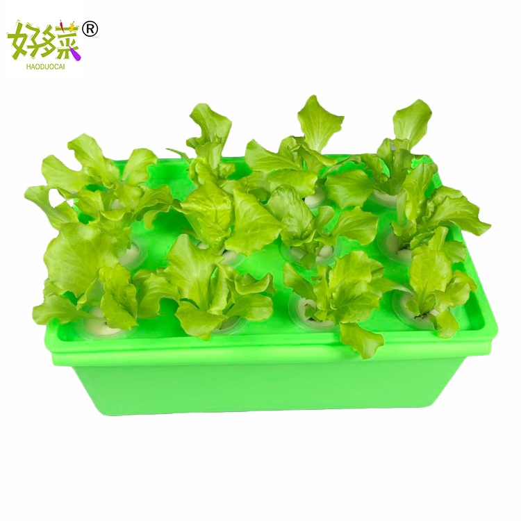 箱式無土栽培設備水培蔬菜陽臺種植花卉自動循環水耕機花盆 蝦皮購物