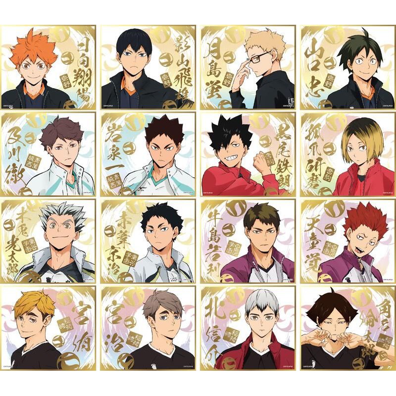 揪團 排球少年hq 色紙第四彈 青城及川岩泉 蝦皮購物