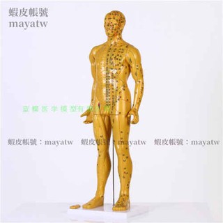 (MD-B_0782)銅色清晰經絡通針灸銅人中醫師傅人體穴位模型中醫針灸人模85cm