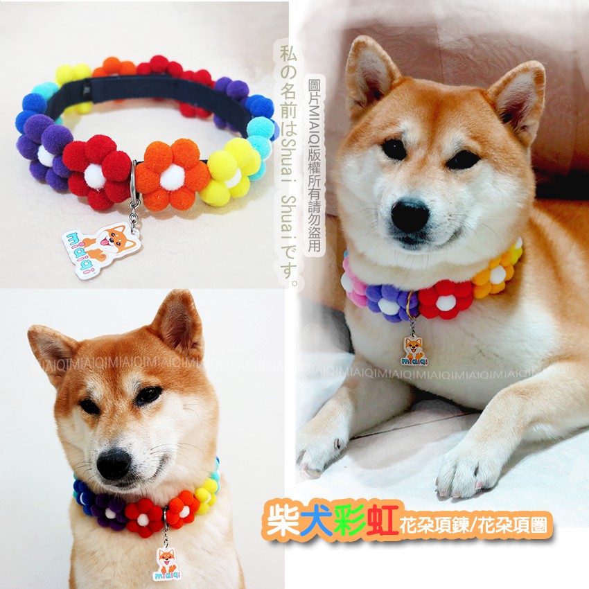 現貨 柴犬手工毛絨項鍊 花朵項圈 送miaiqi獨家logo吊飾 狗狗項圈柴犬項圈柴犬項鍊寵物項鍊 蝦皮購物