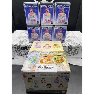re-ment 神奇寶貝香水瓶 寶可夢 香水 小花瓶 寶可夢盒玩 神奇寶貝盒玩 地方篇 皮卡丘 日版 正版 盒玩 盲盒