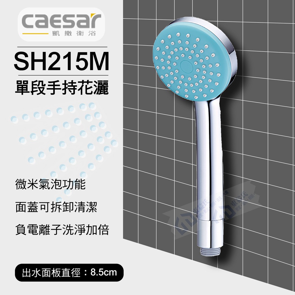 【東益氏】含稅 CAESAR凱撒 SH215MG 單段手持微米氣泡花灑 浴室蓮蓬頭 手持花灑 淋浴蓮蓬頭把手