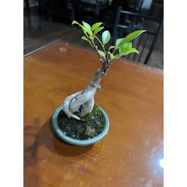 小品系列 優惠推薦 22年9月 蝦皮購物台灣