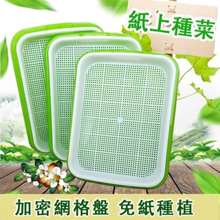 種菜小幫手 雙層加密網格育苗盤種植盤★水耕綠化