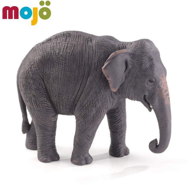 Mojo Fun動物模型-亞洲象