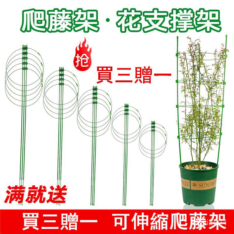 室內花的薔薇月季綁棍綁花支柱爬藤架支架固定綠蘿攀爬架園藝用品 蝦皮購物