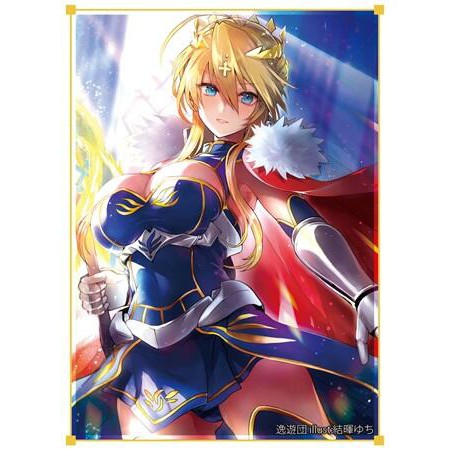 [老天順本鋪] 現貨 SC2020 逸遊團 卡套 阿爾托莉亞 Lancer Fate Grand Order 一包60張