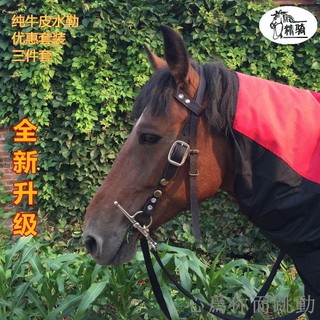 馬鞍子新款大小馬鞍牛皮印花游客鞍馬具全套配件精騎馬術用品 蝦皮購物