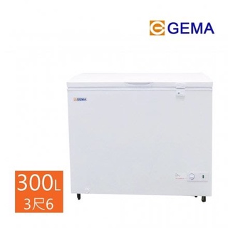 留言優惠價 至鴻 GEMA 密閉式300L冷凍櫃 3尺6 冰櫃 BD-300 日本品質規範商品 低溫冷凍儲存專櫃