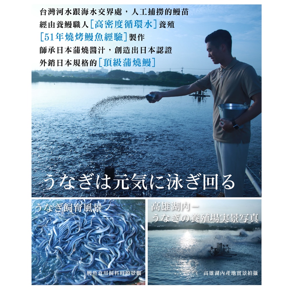 屏榮坊 銀閤禮盒 日式蒲燒鰻168gx4尾入 盒裝 送禮伴手禮禮盒海鮮鰻魚 蝦皮購物