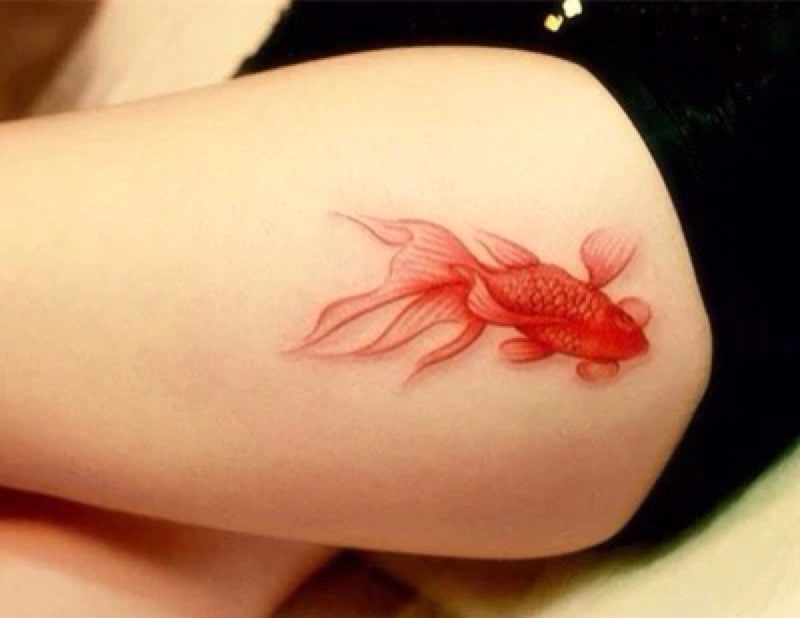 刺青貼金魚 蝦皮購物