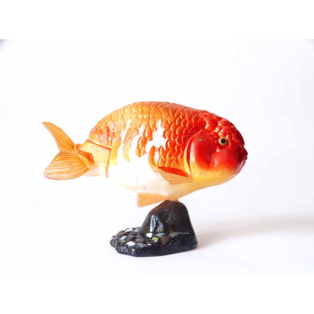 A 218 櫃現況品 海洋堂furuta 寵物動物collection 第1彈更紗蘭壽金魚富貴玩具店 蝦皮購物