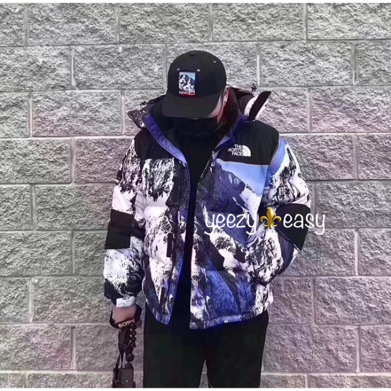 supreme the north face 17fw