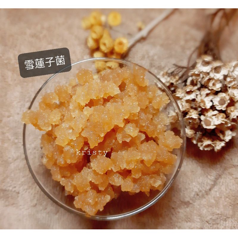 《Kristy》天山雪蓮酵母菌 雪蓮菌 雪蓮子 太陽菇菌 雪蓮酵素 酵素 養身 順暢