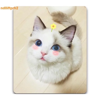 台灣現貨cute 可愛 布偶貓 滑鼠墊 天然橡膠 布面