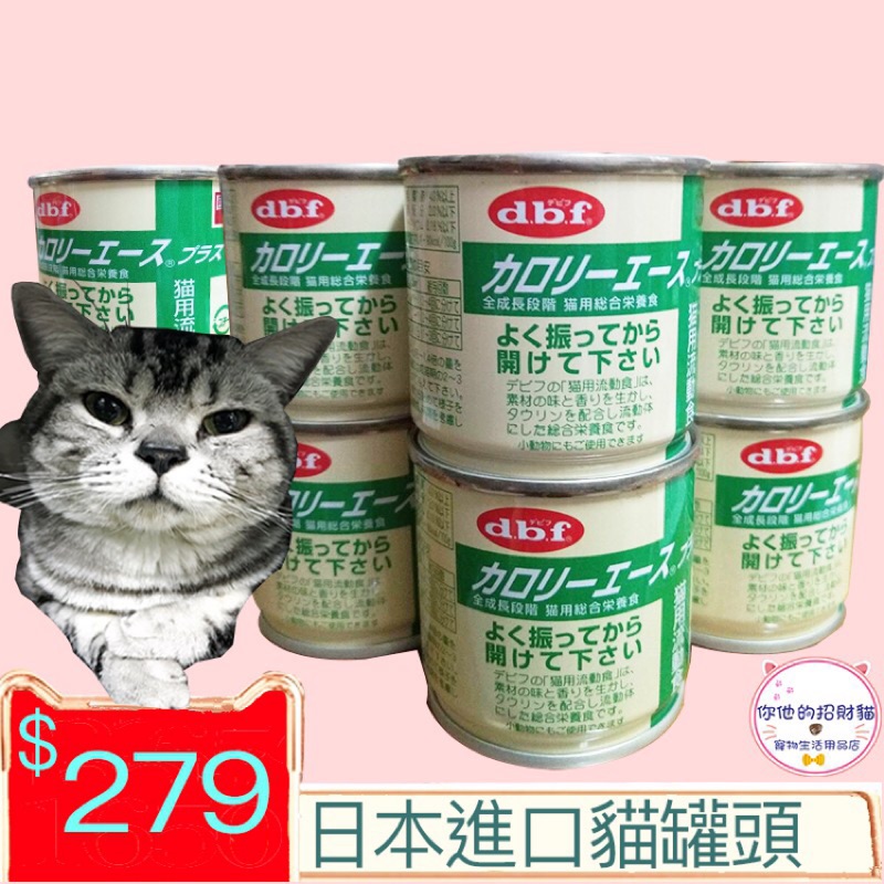 純粋な 予備 ゲインセイ Dbf 猫 Getactivelondon Org